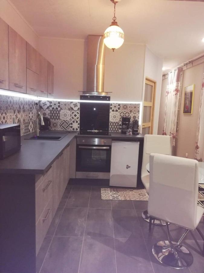 Rose Dor Appartement Plombieres-les-Dijon Buitenkant foto